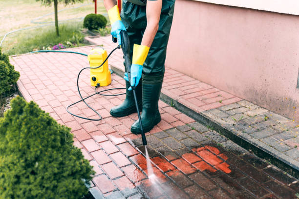 Best House Exterior Washing  in Shelburne Falls, MA