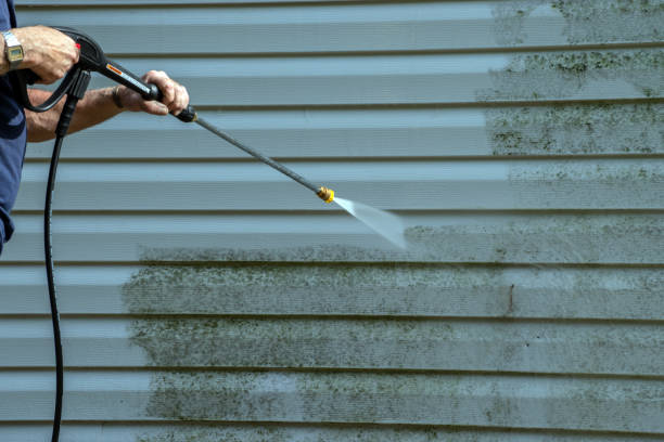 Best Rust Removal  in Shelburne Falls, MA